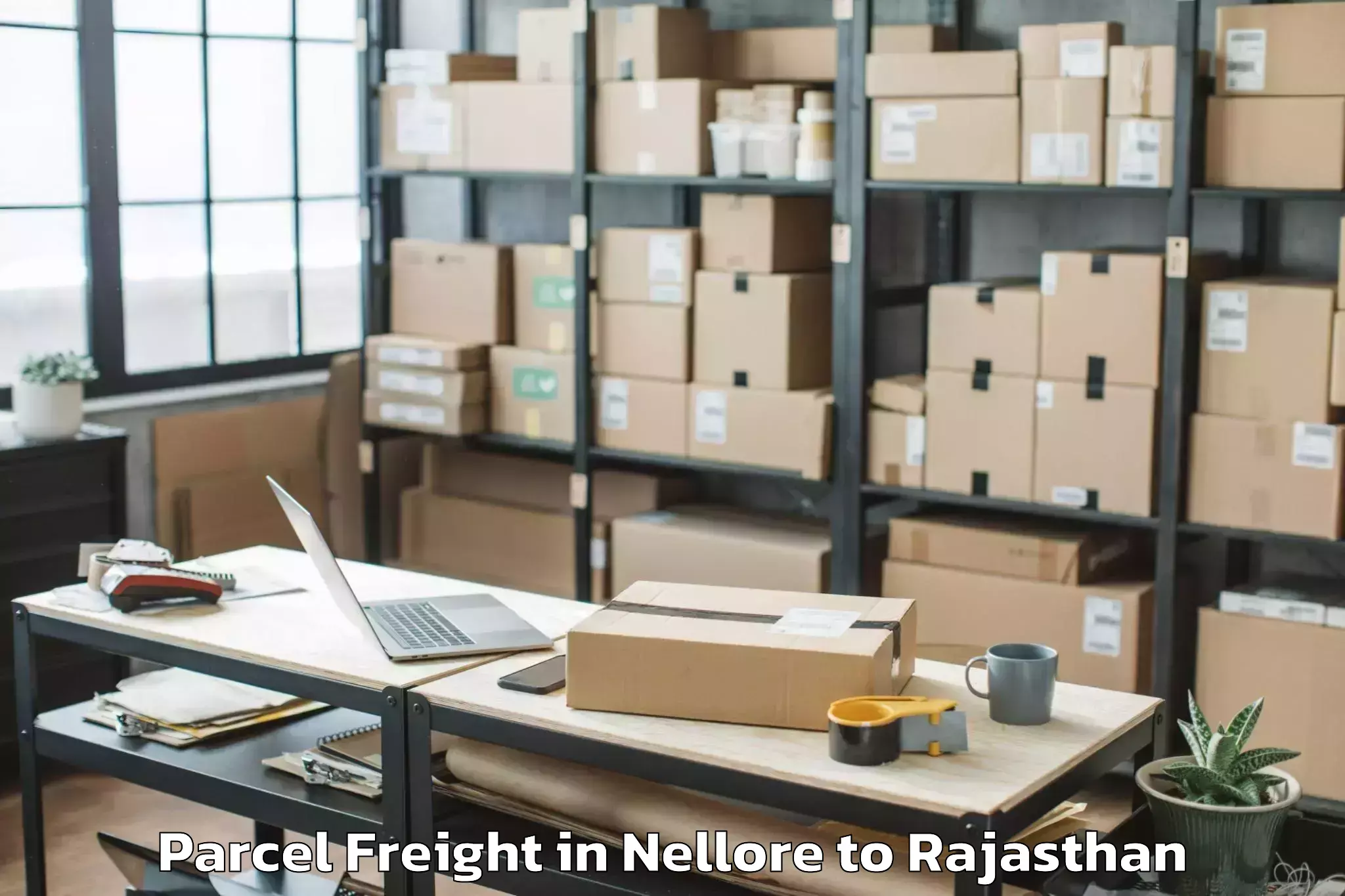 Easy Nellore to Kekri Parcel Freight Booking